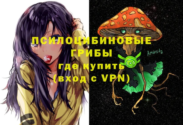 spice Осташков