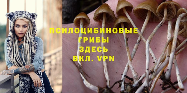 мескалин Нягань