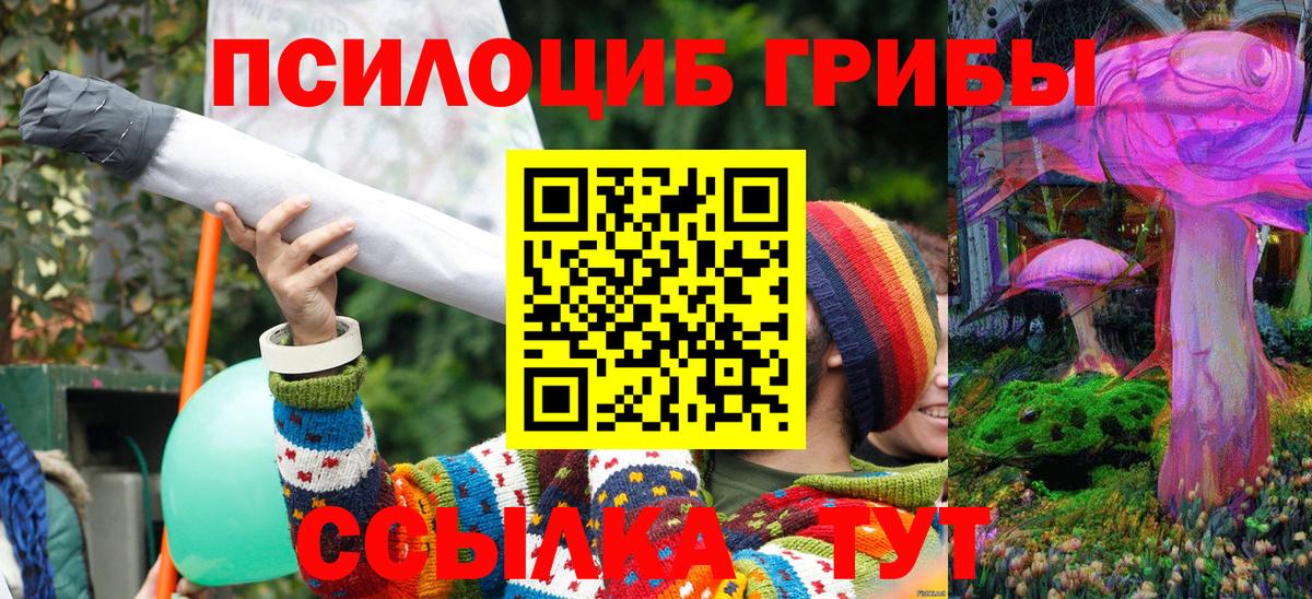 Псилоцибиновые грибы Psilocybine cubensis Асбест