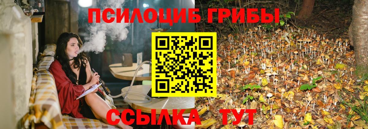 Галлюциногенные грибы мухоморы Асбест