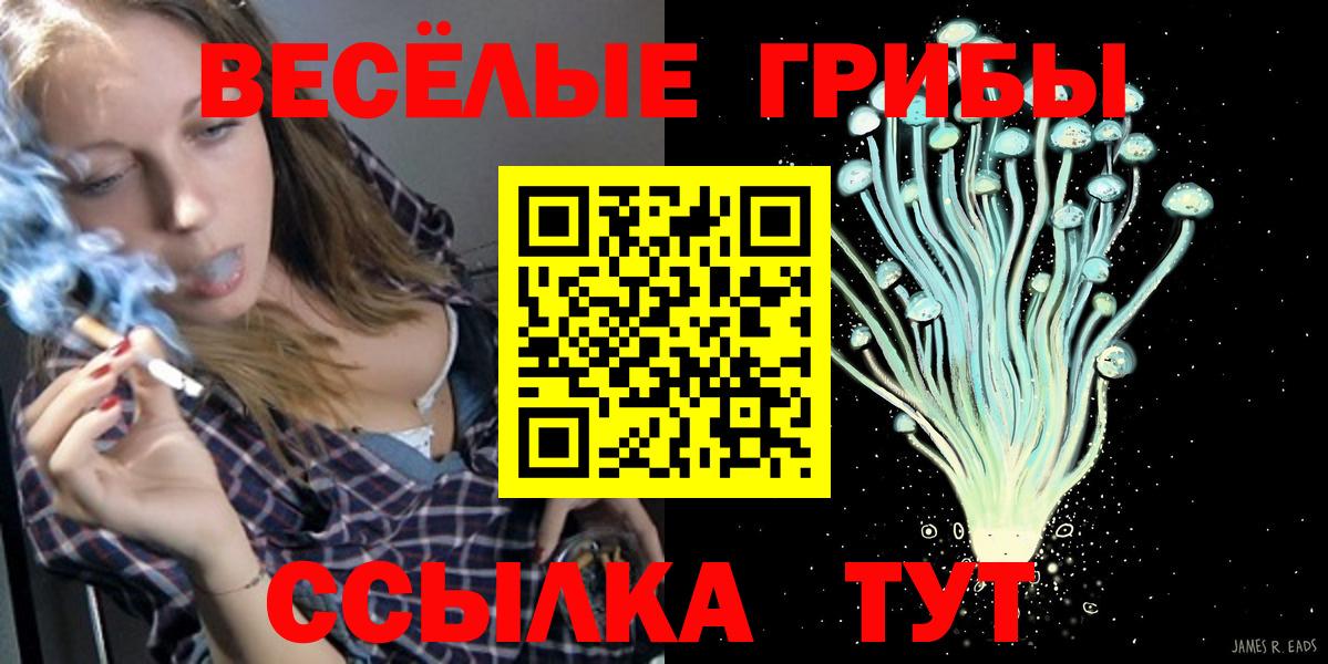 Галлюциногенные грибы Psilocybine cubensis  Вход с VPN  Асбест 